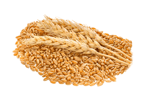 nutriecol-cultivos-extensivos-cereales.png