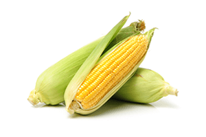 nutriecol-cultivos-extensivos-maiz.png