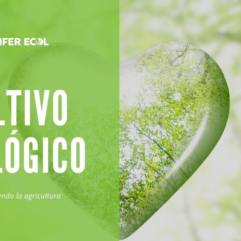 La importancia del cultivo ecológico